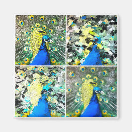 Peacock Art Magneet