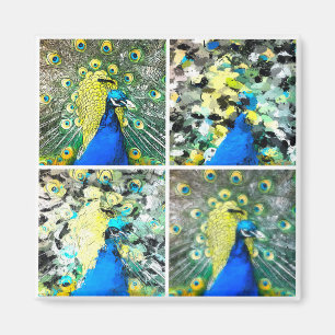 Peacock Art Magneet