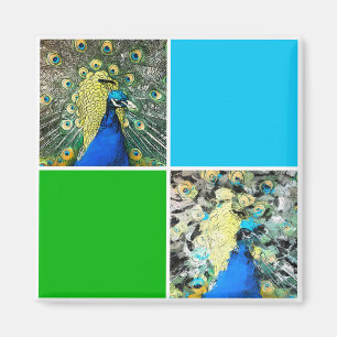Peacock Art Magneet
