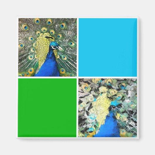 Peacock Art Magneet (Voorkant)