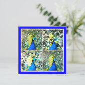 Peacock Art magnetische kaart (Staand voorkant)