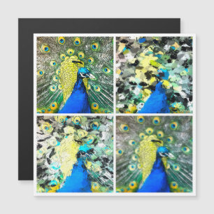 Peacock Art magnetische kaart