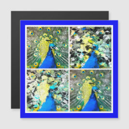 Peacock Art magnetische kaart
