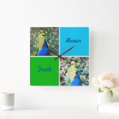 Peacock Art met Aqua en Green Squares Vierkante Klok (Huis)