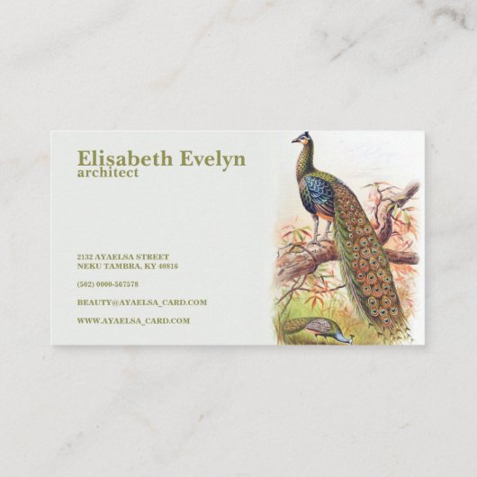 Peacock  Art Old Visitekaartje (Achterkant)