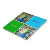 Peacock Art Tegeltje (Zijkant)