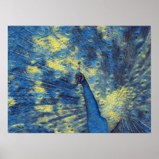 Peacock Artwork in Van Gogh Sterrennacht Colors Poster
