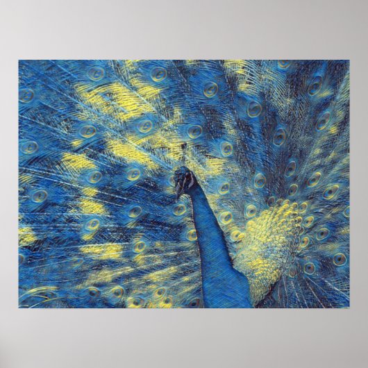 Peacock Artwork in Van Gogh Sterrennacht Colors Poster (Voorkant)