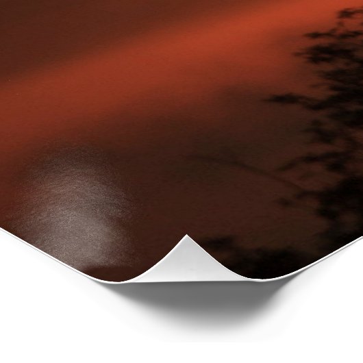 Peacock at Sunrise Perfect Poster (Hoek)