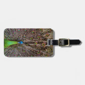 Peacock Bagagelabel (Voorkant horizontaal)