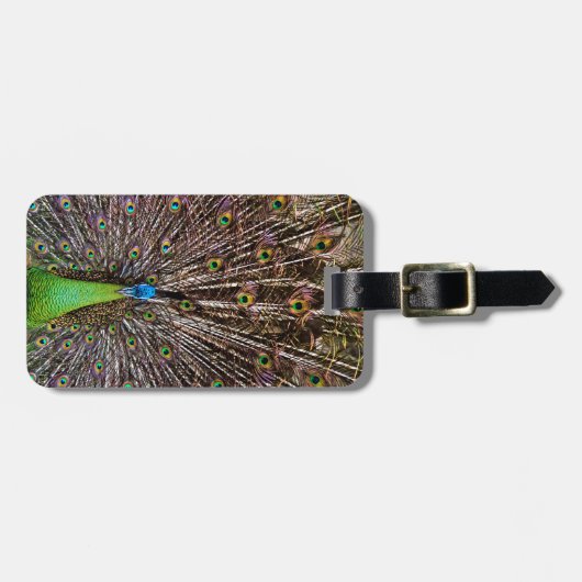 Peacock Bagagelabel (Voorkant horizontaal)