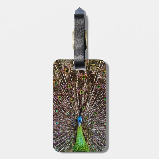 Peacock Bagagelabel (Achterkant verticaal)