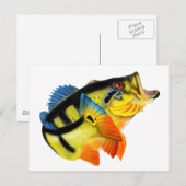 Peacock Bass 3 Briefkaart (Voorkant / Achterkant)