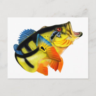 Peacock Bass 3 Briefkaart