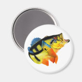 Peacock Bass 3 Magneet (Voorkant / Achterkant)