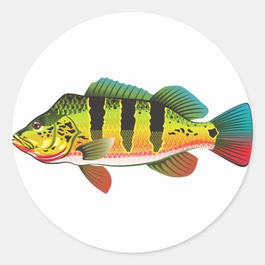 Peacock Bass bright Ocean Gamefish illustratie Ronde Sticker (Voorkant)