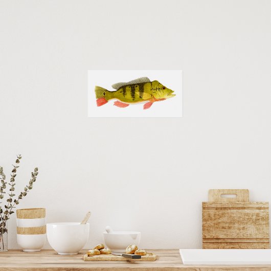 Peacock Bass Print (Keuken)