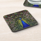 Peacock Bier Onderzetter (Linkerzijde)