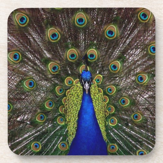 Peacock Bier Onderzetter (Voorkant)