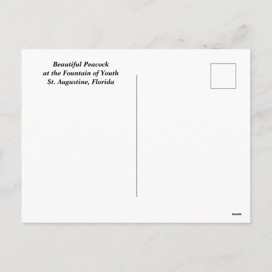 Peacock bij Fontein van de Jeugd Feestdagenkaart (Achterkant)