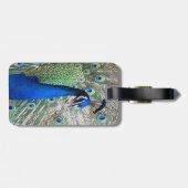 Peacock Bird Bagagelabel (Achterkant horizontaal)