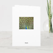 Peacock Bird Birthday Greeting Notitiekaartje (Achterkant)