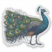 Peacock bird Custom-Cut Vinyl Sticker (Voorkant)