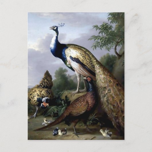 Peacock Bird Family Painting Briefkaart (Voorkant)