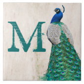 Peacock Bird Feather Blauwgroen Monogram Display T Tegeltje (Voorkant)