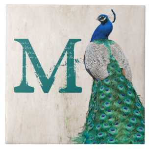 Peacock Bird Feather Blauwgroen Monogram Display T Tegeltje