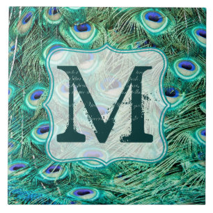 Peacock Bird Feather Blauwgroen Monogram Display T Tegeltje