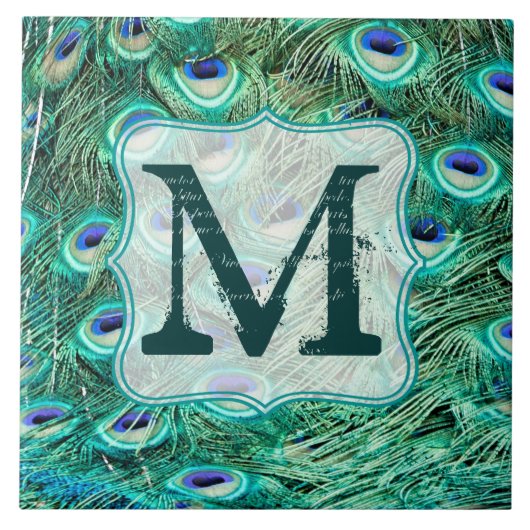 Peacock Bird Feather Blauwgroen Monogram Display T Tegeltje (Voorkant)