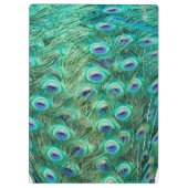 Peacock Bird Feather Monogram Initiaal Clip Board Klembord (Achterkant)