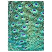 Peacock Bird Feather Monogram Initiaal Clip Board Klembord (Achterkant)