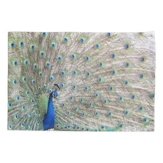 Peacock Bird Feathers Pillowcase Kussensloop (Achterkant)