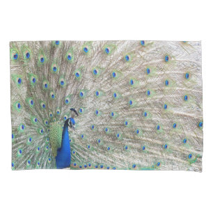 Peacock Bird Feathers Pillowcase Kussensloop