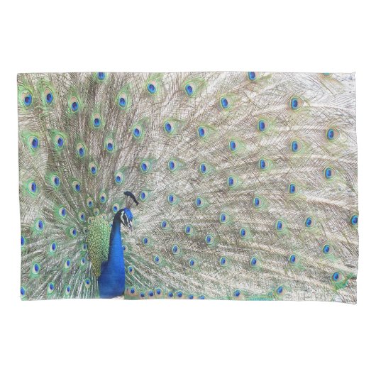 Peacock Bird Feathers Pillowcase Kussensloop (Voorkant)