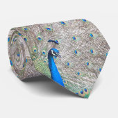 Peacock Bird & Feathers Stropdas (Opgerold)