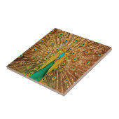 Peacock Bird Feathers Tegeltje (Zijkant)