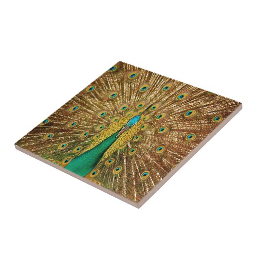 Peacock Bird Feathers Tegeltje (Zijkant)