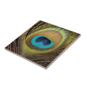 Peacock Bird Feathers Tile Tegeltje (Zijkant)