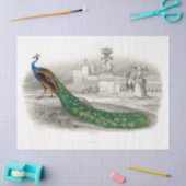 Peacock Bird French Court  Decoupage Tissuepapier (Craft)