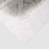 Peacock Bird French Court  Decoupage Tissuepapier (Detail)