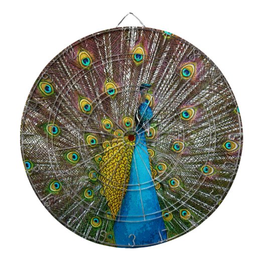 Peacock Bird met Royal Plumage op het display Dartbord (Voorkant)
