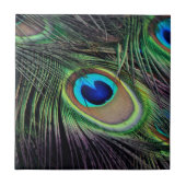 Peacock Bird Peafowl Tegeltje (Voorkant)