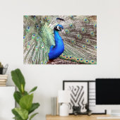 Peacock Bird Photo Natuur Wall Poster (Thuiskantoor)