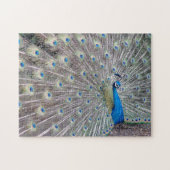 Peacock Bird Puzzle Legpuzzel (Horizontaal)