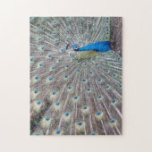 Peacock Bird Puzzle Legpuzzel (Verticaal)