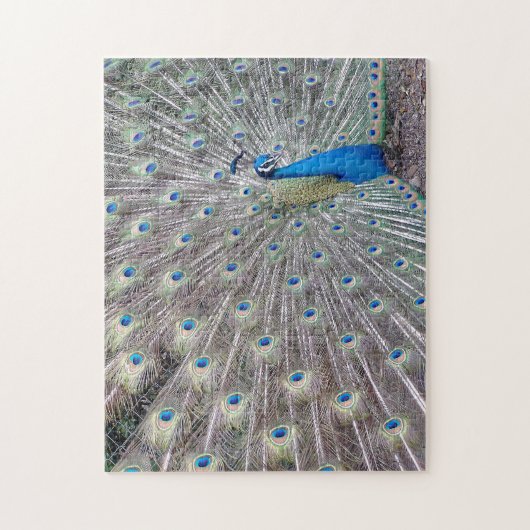 Peacock Bird Puzzle Legpuzzel (Verticaal)