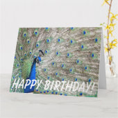 Peacock Bird Verjaardag Groot Wenskaart Kaart (Gele Bloem)